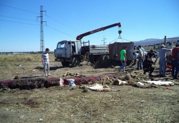 ҚАСАП ОРЫНДАРЫ ҚАШАН РЕТТЕЛЕДІ? (фото айыптау)