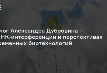 Растения-антибиотики и медицинский виноград