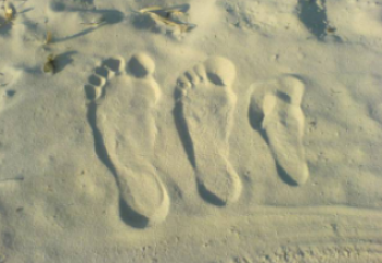 Папа и мама не равны