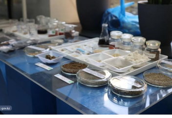 Казахстанские ученые превратили сельхозотходы в наноматериалы будущего