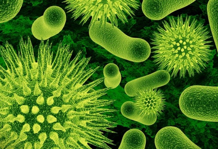Война вирусов и бактерий подтвердила гипотезу Черной Королевы. Обнаружен вирус, не несущий известных генов