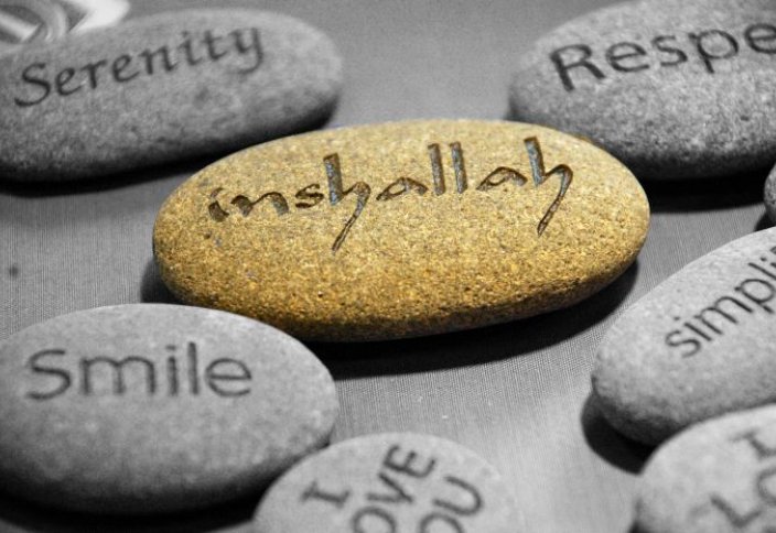 Разное: Выражение «иншаАллах» официально включено в немецкий язык. Может ли мусульманин быть вегетарианцем?