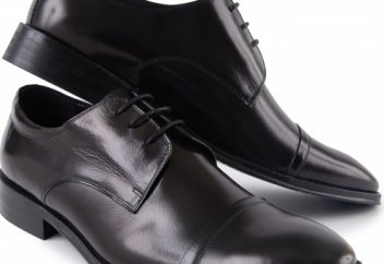 Екі аяқтың хикаясы