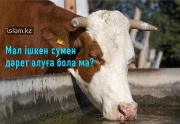 Мал ішкен сумен дәрет алуға бола ма?