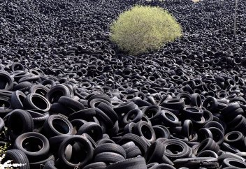 Жизнь, где она казалась невозможна