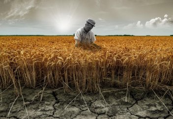 Су тапшылығы ширек ғасырдан соң жаһандық азық-түлік тапшылығына ұласады
