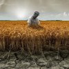 Су тапшылығы ширек ғасырдан соң жаһандық азық-түлік тапшылығына ұласады