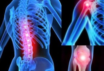 Ұлыбританиялық мамандар қазақстандық дәрігерлерге кинезитерапия әдісін қолдануды үйретіп жатыр