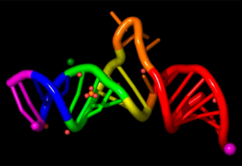 Алжуды 7 жыл бұрын болжауға мүмкіндік беретін биомаркер табылды