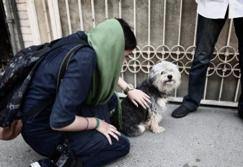 Иранның тағы 17 қаласында қоғамдық орындарда итті серуендетуге тыйым салынды