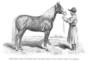 Тюркские национальные породы лошадей