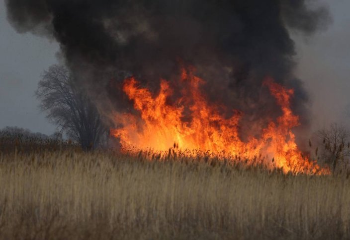 Огонь уничтожил тысячи гектаров сельхозугодий в Казахстане