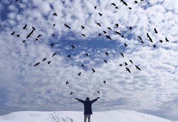 Разные: С Божьей помощью: как работают дейтинг-приложения для верующих