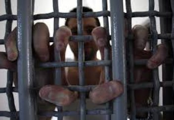 Террористі азаматтықтан шығарудың конституцияға қаншалықты сәйкес келетіні сарапталды (жалғасы)