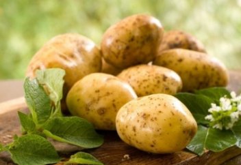 Картоппен емделейік