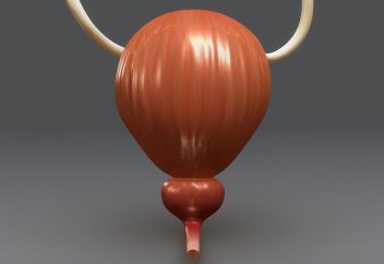 Впервые в истории медицины пересадили мочевой пузырь