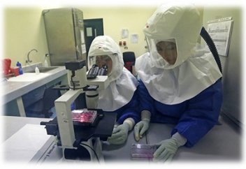 Вакцина от вируса Эбола найдена