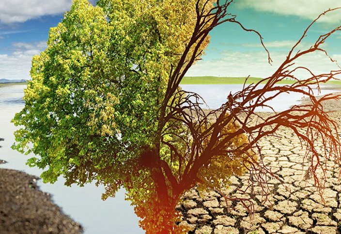 Lancet: изменение климатической политики спасет 10 млн жизней к 2040 году
