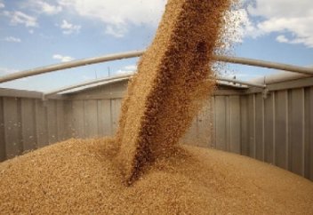 Қазақстан Иран еліне 4 млн тоннадан астам астық экспортқа шығарды