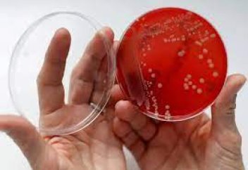 Смертельно опасная инфекция захватывает Японию