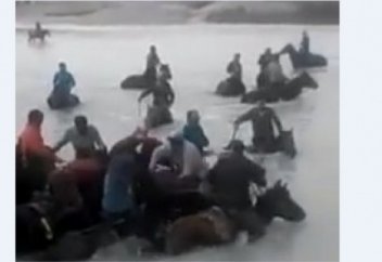 Көлде көкпар тартқанды көрдіңіз бе? (ВИДЕО)