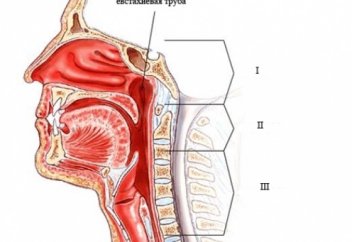 Как избавиться от храпа