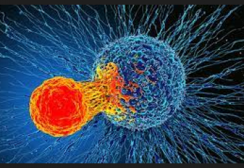 Қатерлі ісіктің жасушаларды қалай тұзағына түсіретіні белгілі болды